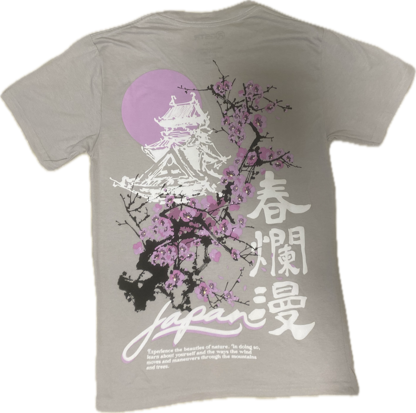 RGSTR Japan Artwork T-Shirt